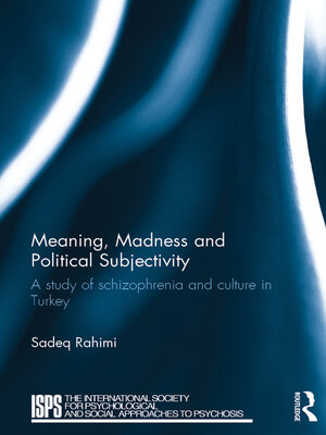 cover image of Meaning, Madness and Political Subjectivity